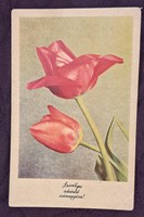 Old floral postcard 11 (m4717)
