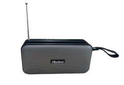Solar speaker media player (110000)