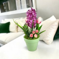 Purple, pink hyacinth table decoration jat04lifh