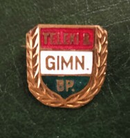 Teleki blanka high school (Budapest) gold wreath badge 1978 with certificate