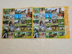 Memóriajáték memória játék lovak 44x44mm kártya