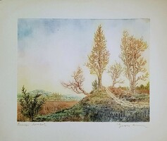 Gross arnold - pomace hills 26 x 34.5 cm colored etching