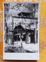 Auschwitz, original Polish, marked photo sheet 1.