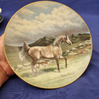 Majestic horse Arabian, gold rim, equestrian plate. Collection horse
