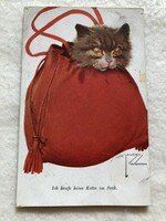 Antique, old cat postcard - lawson wood -10.
