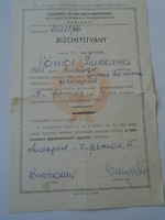 D203071 Sikeres gépjárművezetői vizsga  bizonyítvány  Budapest 1967