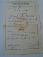 D203071 Sikeres gépjárművezetői vizsga  bizonyítvány  Budapest 1967