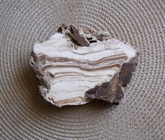 A slice of aragonite