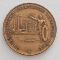 1943. Manfréd Weiss companies fitness circle sports medal (50 mmm) (30)