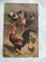 Old postcard poultry yard