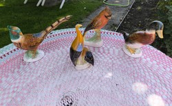 Action! For sale in a package!! Pheasant, goose, parrot duck for sale!!