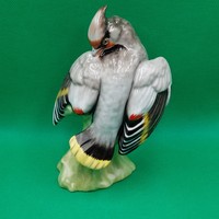 Ritka gyűjtői Hollóházi porcelán Harkály madár figura