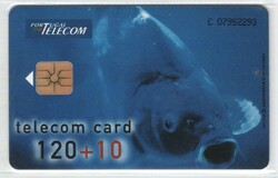 Foreign phone card 0135 (Portuguese)