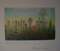 Gross arnold non withering garden original color etching