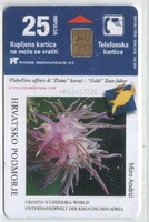 Foreign phone card 0440 Croatian 2000