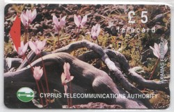 Foreign phone card 0417 Cyprus 2000