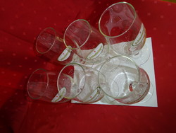 Schladminger French crystal beer glass, 0.5 L, height 20.5 cm. 6 pieces for sale together. They have one!