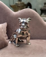 Ezüst Miniatűr Bulldog Kutya