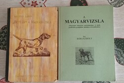 Betyár a Magyar vizsla,A Magyar vizsla