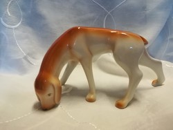 Hollóházi porcelán figura, szimatoló kutya