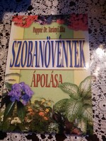 Pappné: caring for houseplants, recommend!
