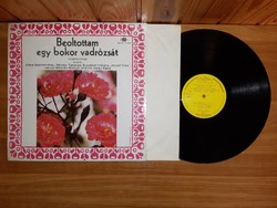 Beoltottam egy bokor vadrózsát - LP Bakelit vinyl hanglemez
