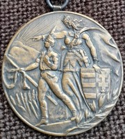 Pest Pilis Solt Kiskun vármegye Levente sport érem. 1929  . 40mm . Bronz  .