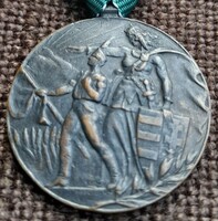 Pest Pilis Solt Kiskun vármegye Levente sport érem. 1929 . 30mm . Bronz  .