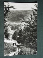 Képeslap,Kőszeg, Erdei sétány látkép,részlet, 1960-
