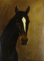 1S386 Udvarnoki Péter : Ló portré 40 cm x 30 cm