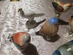 6 db porcelán madárka