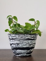 Sári Bella Modern Ceramic Flower Pot with Plastic Glaze