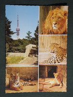 Képeslap,Pécs,mozaik,Mecsek ZOO állatkert,oroszlán,tigris látkép,részletek, 1981-