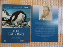 David Attenborough filmje Élet a fagyban  (1 dvd )