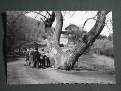 Képeslap,Pilis hegység,Szentedre,Lajosforrás,Ságvári Endre túristaház látkép,részlet, 1961-