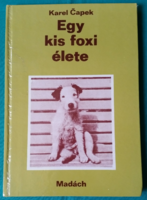 'Karel Čapek: Egy kis foxi élete > Gyermek- és ifjúsági irodalom > Állattörténetek > Kutya