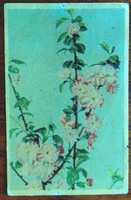 Old postcard, postcard!