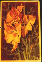 Old postcard, postcard!