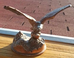 Irredenta bronzed eagle