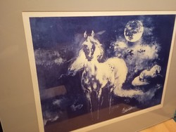 Csergezán Pál Lovak