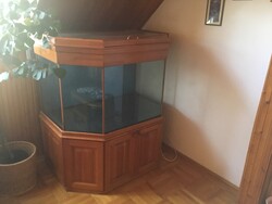 Special aquarium, furniture piece