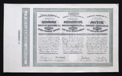 Temerini Takarékpénztár részvény 100 korona 1921 - Temerin (SRB)