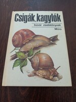 Csigàk kagylók búvár zseb könyvek Móra könyvkiadó Dr Krolopp Endre 1981