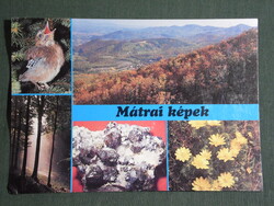 Postcard, Mátra Pictures, Szajkó Bird, Quartz Stone, Spring Herics Flower view, details, 1980-