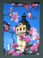 Képeslap,Szeged,Széchenyi tér,óratorony,magnóliák látkép, részlet, 2000-