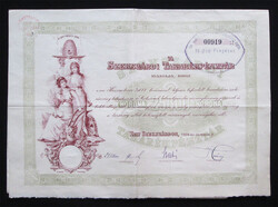 Szekszárdi Takarékpénztár részvény 25000 korona 1924 - Szekszárd
