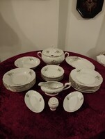 Szép, diszkrét ibolya virág dekorú  25 darabból álló porcelán étkészlet