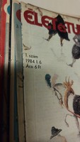 Élet és tudomány 1984. 34 db újság egyben !  Újságot, folyóiratot  ajándékba, születésnapra is !