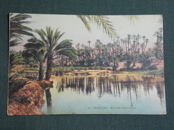 Képeslap,Észak Afrika,Marokkó,Folyópart,Maroc, Dans le Sud Au bord d'une rivière,1920-