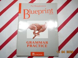 Pat Mugglestone - Blueprint One Grammar Practice